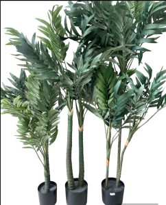 עציץ דקל קנציה -שלושה גדלים