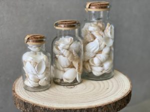 ⁦בקבוק צדפים⁩ – תמונה ⁦4⁩