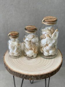 ⁦בקבוק צדפים⁩ – תמונה ⁦5⁩