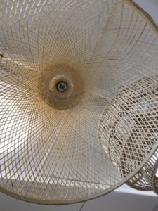 ⁦אהיל מישל⁩ – תמונה ⁦4⁩