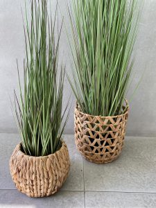 ⁦עציץ עשב דק גבוה⁩ – תמונה ⁦3⁩