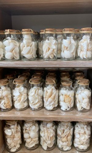 ⁦בקבוק צדפים⁩ – תמונה ⁦2⁩