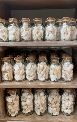 ⁦בקבוק צדפים⁩ – תמונה ⁦3⁩