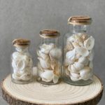 בקבוק צדפים