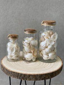 בקבוק צדפים