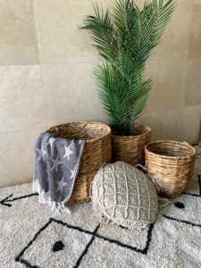 ⁦סל קש רוקי⁩ – תמונה ⁦2⁩