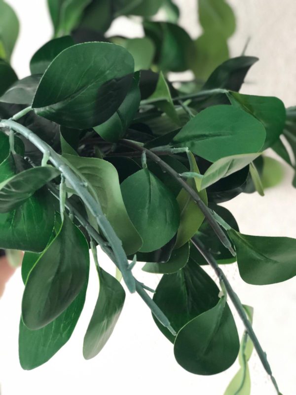 ⁦זר שלושה ענפים ירוקים⁩ – תמונה ⁦4⁩
