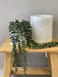 ⁦כלי קרמיקה לבן - 2 גדלים⁩ – תמונה ⁦7⁩