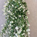 צמח נשפך פרחים