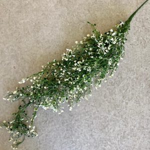 ⁦צמח נשפך פרחים⁩ – תמונה ⁦2⁩