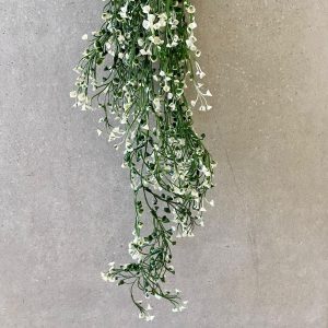 ⁦צמח נשפך פרחים⁩ – תמונה ⁦3⁩