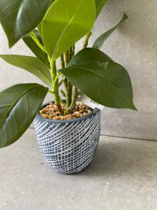 ⁦עציץ בכלי בטון מעוצב⁩ – תמונה ⁦3⁩