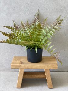 עציץ שרך מלאכותי