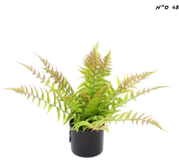 ⁦עציץ שרך מלאכותי⁩ – תמונה ⁦4⁩