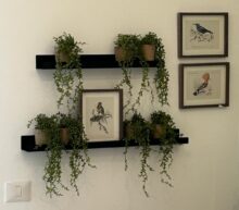 צמח נשפך בכלי קרטון ממוחזר – תמונה 7