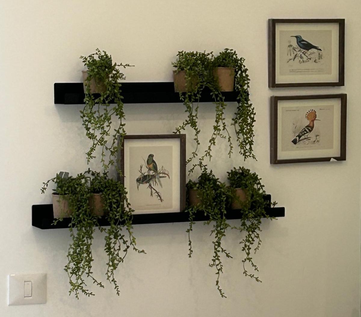 מדף עם עציץ נשפך צמח נשפך בכלי קרטון ממוחזר – תמונה 7