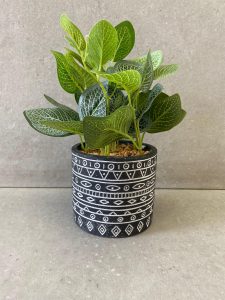 ⁦עציץ בכלי שחור-לבן עיטורים⁩ – תמונה ⁦3⁩