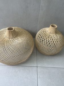 ⁦אהיל במבוק- 2 גדלים⁩ – תמונה ⁦2⁩