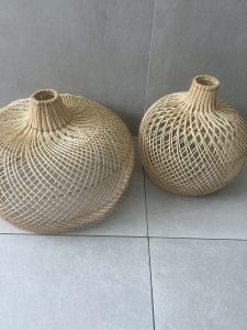 ⁦אהיל במבוק- 2 גדלים⁩ – תמונה ⁦3⁩