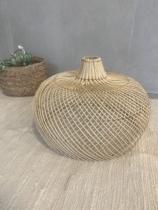 ⁦אהיל במבוק- 2 גדלים⁩ – תמונה ⁦4⁩