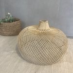 אהיל במבוק- 2 גדלים