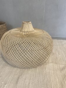 ⁦אהיל במבוק- 2 גדלים⁩ – תמונה ⁦6⁩