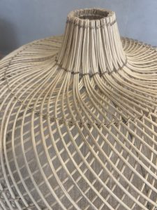 ⁦אהיל במבוק- 2 גדלים⁩ – תמונה ⁦7⁩