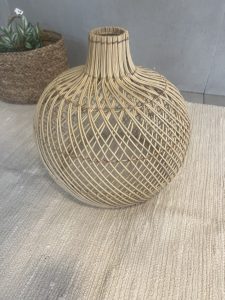 ⁦אהיל במבוק- 2 גדלים⁩ – תמונה ⁦11⁩