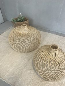 ⁦אהיל במבוק- 2 גדלים⁩ – תמונה ⁦12⁩