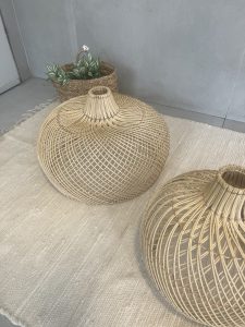 ⁦אהיל במבוק- 2 גדלים⁩ – תמונה ⁦13⁩