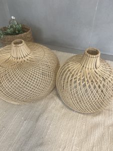 ⁦אהיל במבוק- 2 גדלים⁩ – תמונה ⁦14⁩