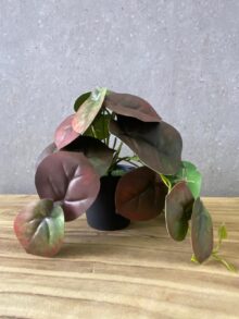 ⁦עציץ מלאכותי קטן⁩ – תמונה ⁦7⁩