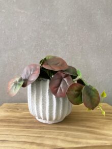 ⁦עציץ מלאכותי קטן⁩ – תמונה ⁦6⁩