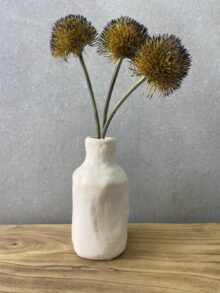 ⁦זר קוצני⁩ – תמונה ⁦2⁩