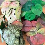 עציץ מלאכותי קטן