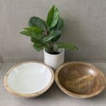 קערת חריצים עץ מנגו- 2 צבעים