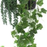 עציץ נשפך בכלי בטון שחור- 2 דגמים