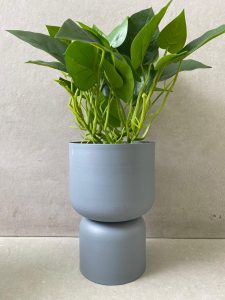 אגרטל מתכת לעציץ – תמונה 2