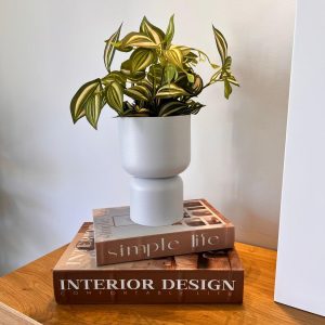 אגרטל מתכת לעציץ – תמונה 3