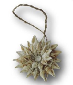 ⁦קישוט צדף כוכב⁩ – תמונה ⁦3⁩