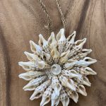 קישוט צדף כוכב