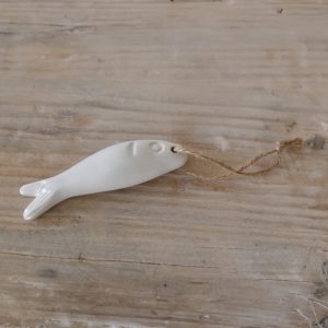 ⁦דג מיני קרמיקה⁩ – תמונה ⁦2⁩