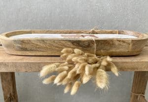 ⁦זר יבש זנב ארנב⁩ – תמונה ⁦3⁩