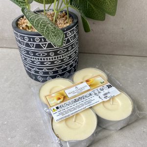 נרות טילייט גמבו