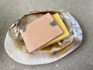 ⁦צדף אבלון⁩ – תמונה ⁦5⁩