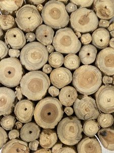 ⁦שולחן צד בולי עץ⁩ – תמונה ⁦4⁩