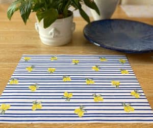 פלייסמנט לימון מנייר חד פעמי