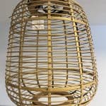 אהיל קש יסמין