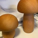 מנורת פטריה בשני גדלים