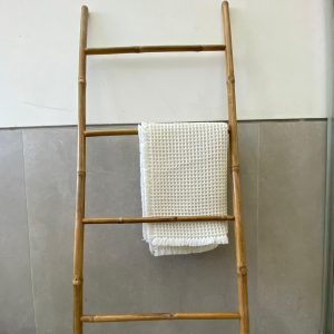 ⁦סולם במבוק רחב⁩ – תמונה ⁦2⁩